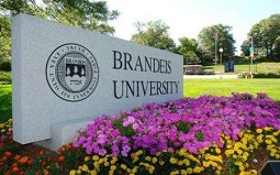 【Brandeis University世界排名】布蘭迪斯大學(xué)世界排名及專業(yè)排名匯總